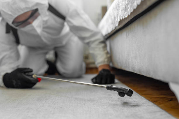 Professional Pest Control technician working in Reading, MI