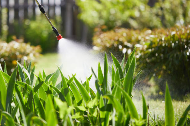 24/7 Emergency Pest Control experts in Reading, MI