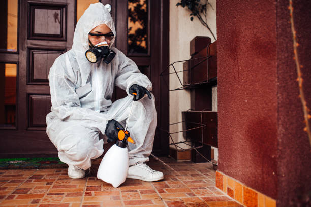 Reliable Pest Control contractor in Reading, MI by Nex Pest Control