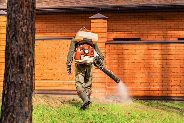 Top rated local Pest Control specialists in Reading, MI